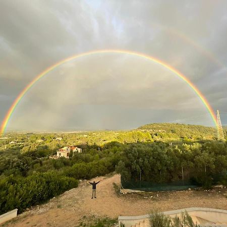 Alghero - House With Panoramic View Immersed In Full Nature Dış mekan fotoğraf