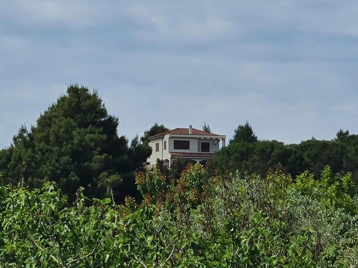 Alghero - House With Panoramic View Immersed In Full Nature Dış mekan fotoğraf